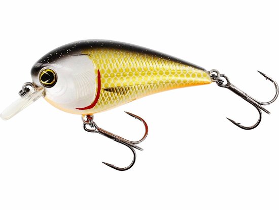 Westin Fishing Bassbite Squarebill Floating Official Roach (7cm) goudvoorn