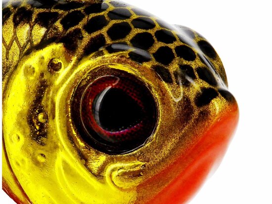 Westin Fishing Dropbite Tungsten Spin Tail Jig Fire Craw (2.2cm) goudvoorn