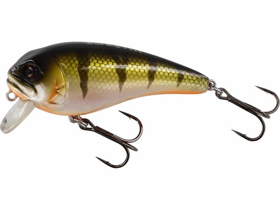 Westin Fishing Fatbite Crankbait Floating Bling Perch (8cm) goudvoorn