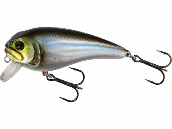 Westin Fishing Fatbite Crankbait Floating Blueback Herring (8cm) goudvoorn