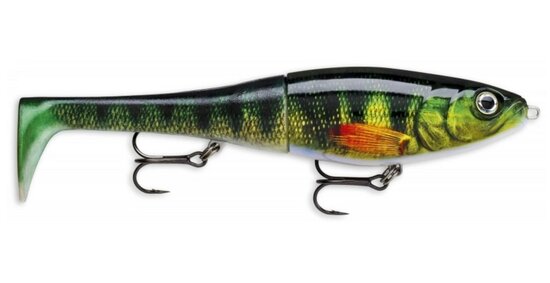 Rapala Hybride X-Rap Peto Live Perch (20cm) goudvoorn