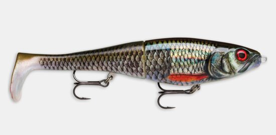 Rapala Hybride X-Rap Peto Live Roach (20cm) goudvoorn