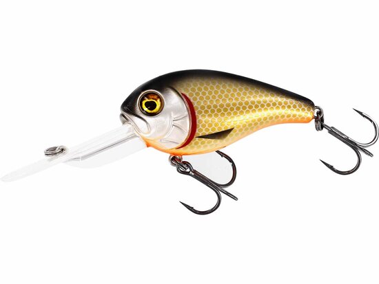 Westin Fishing Megabite DR Crankbait floating Official Roach (6cm) goudvoorn