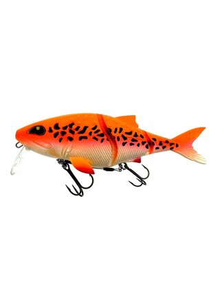 Rozemeijer Sweet Meat Albino Koi (18cm) goudvoorn