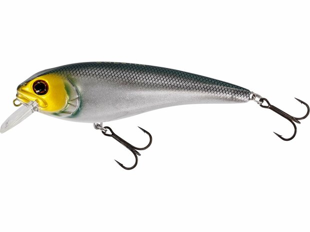 Westin Fishing Rawbite Crankbait low floating headlight (11cm)