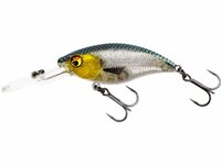 Westin Fishing Buzzbite Crankbait suspending 3D Headlight (6cm)